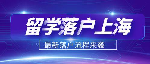 上海人才引进头条号,聚焦重点领域，助力城市发展