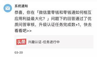 查询头条号兴趣认证,解锁内容创作新境界