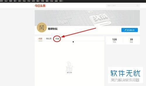 头条收藏的文件能分类吗,分类解析文件背后的精彩世界