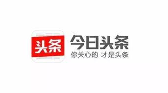头条视频笔记图标,解锁知识新方式