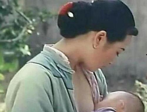 明星喂奶视,温馨喂奶画面引网友热议